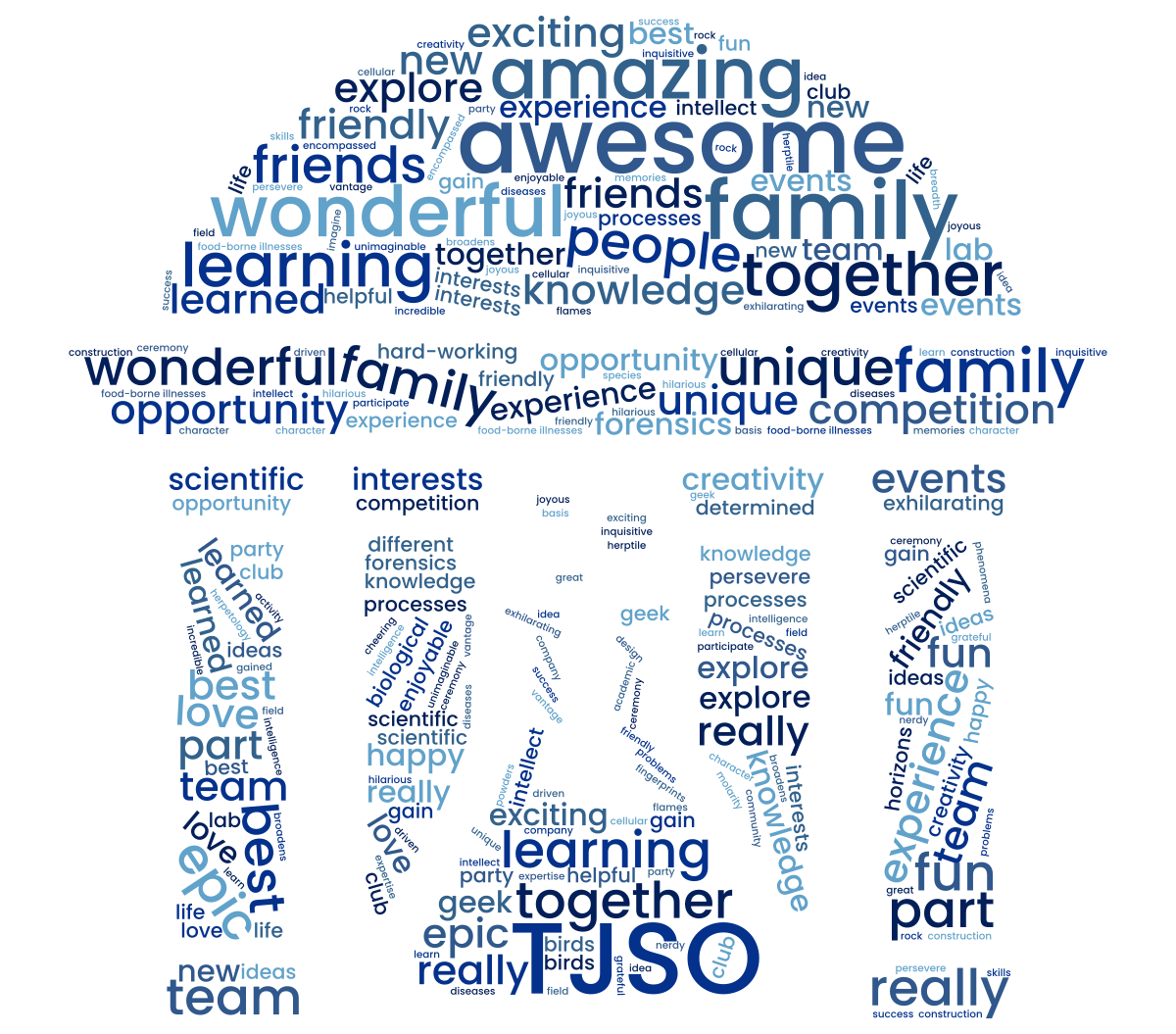 TJSO wordcloud